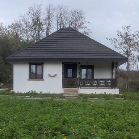 Tîrgu Ocna Casa Livada Buniciiヴィラ エクステリア 写真