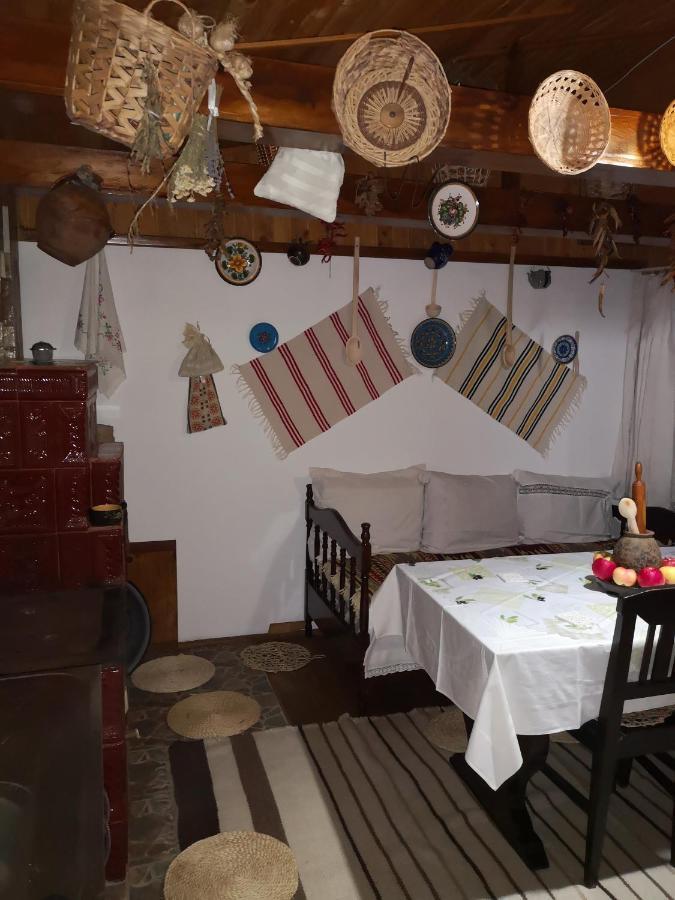 Tîrgu Ocna Casa Livada Buniciiヴィラ エクステリア 写真