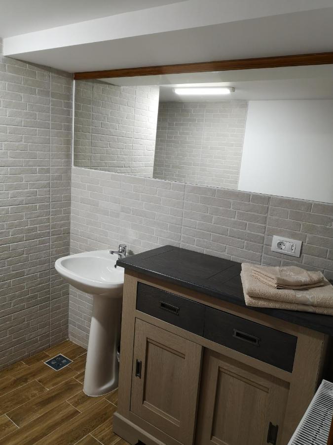 Tîrgu Ocna Casa Livada Buniciiヴィラ エクステリア 写真