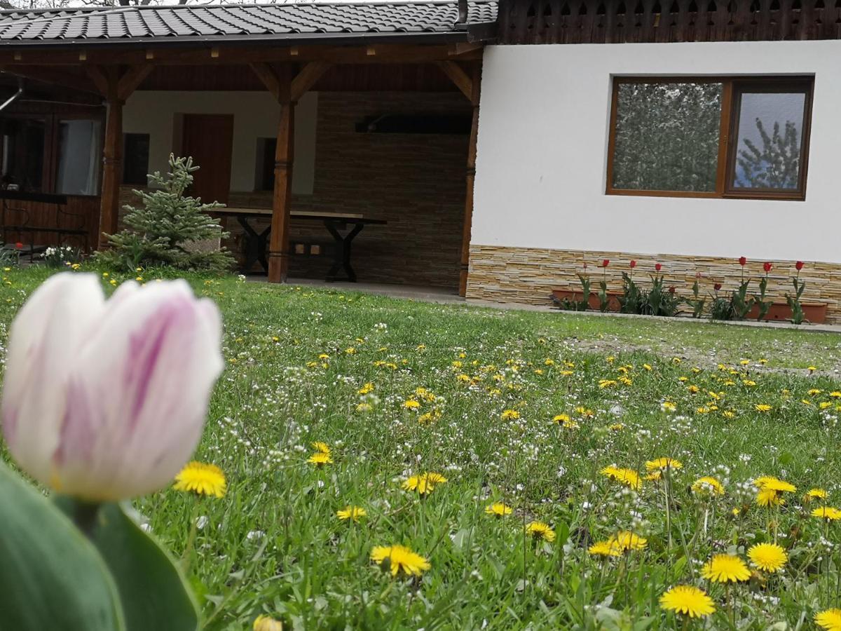 Tîrgu Ocna Casa Livada Buniciiヴィラ エクステリア 写真