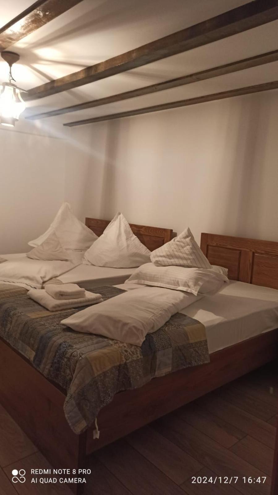 Tîrgu Ocna Casa Livada Buniciiヴィラ エクステリア 写真
