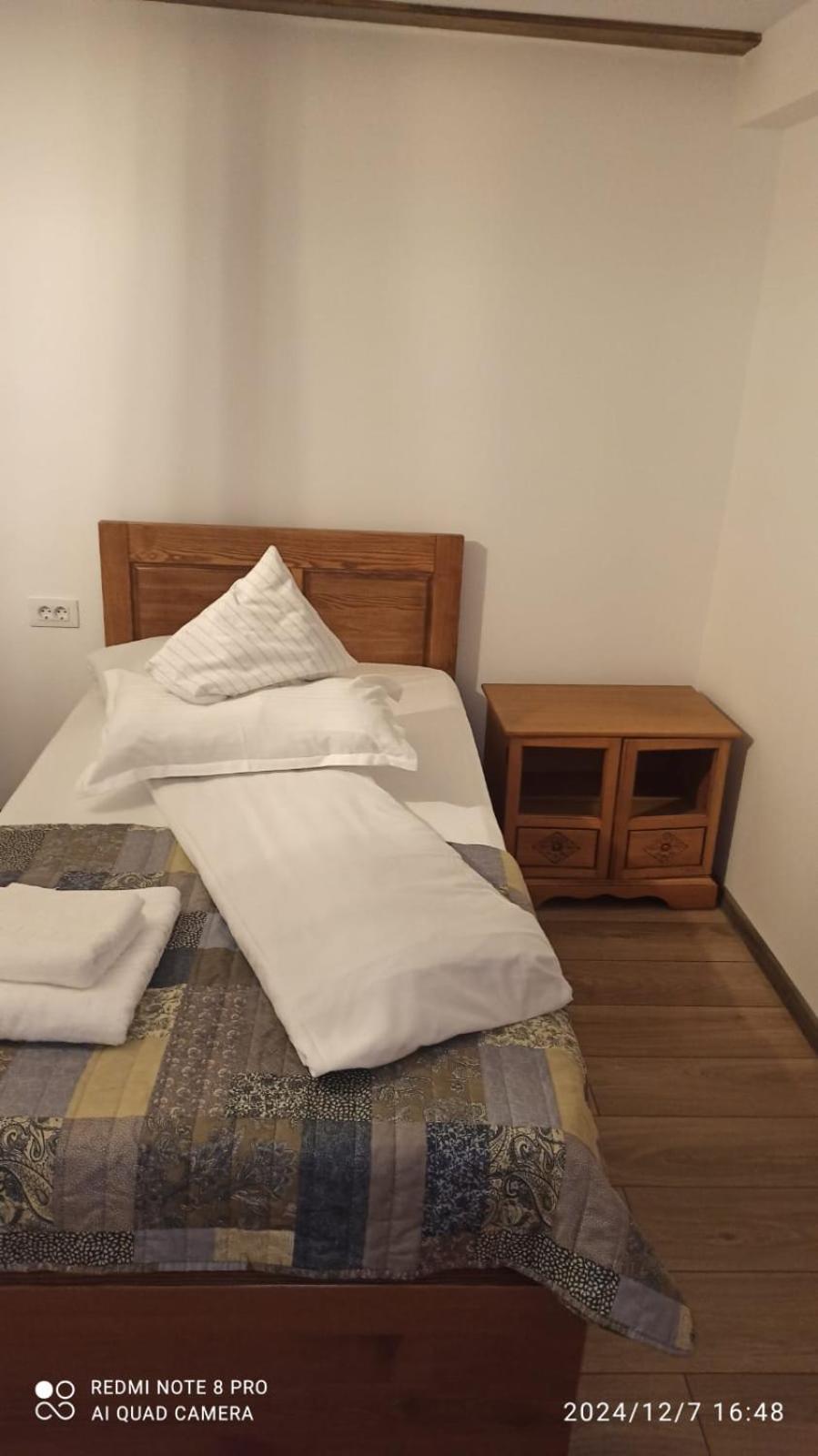 Tîrgu Ocna Casa Livada Buniciiヴィラ エクステリア 写真