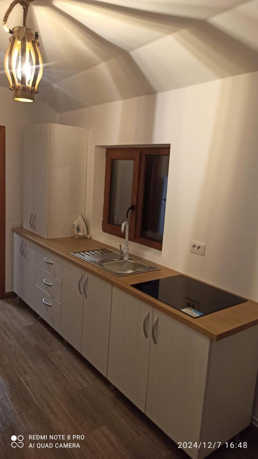 Tîrgu Ocna Casa Livada Buniciiヴィラ エクステリア 写真