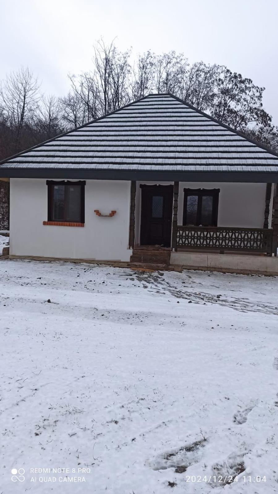 Tîrgu Ocna Casa Livada Buniciiヴィラ エクステリア 写真