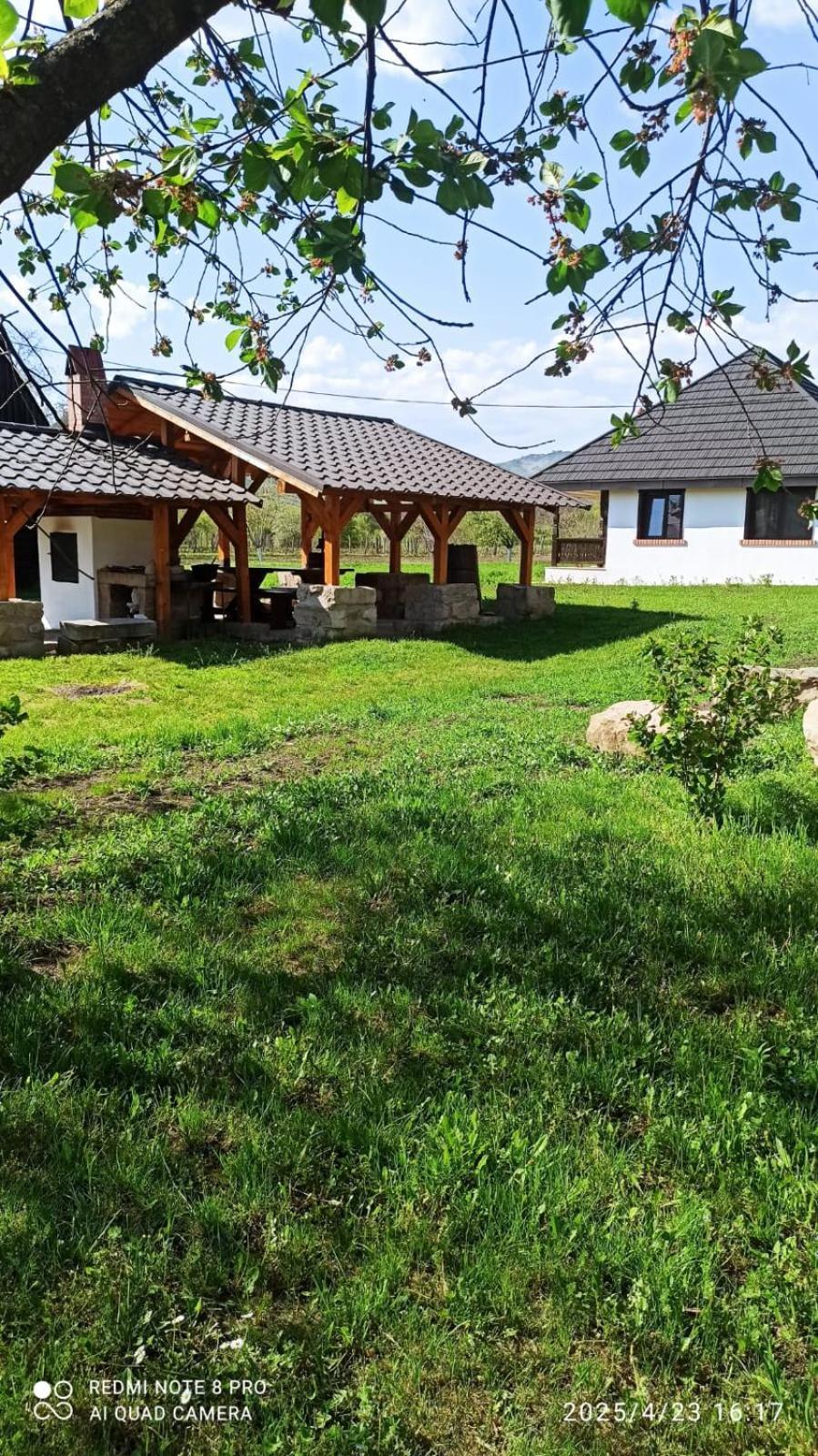 Tîrgu Ocna Casa Livada Buniciiヴィラ エクステリア 写真