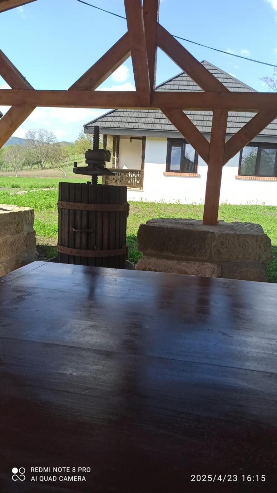 Tîrgu Ocna Casa Livada Buniciiヴィラ エクステリア 写真